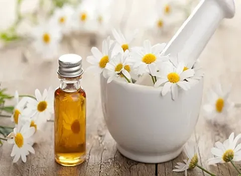 خرید و قیمت بابونه رومی برای اگزما