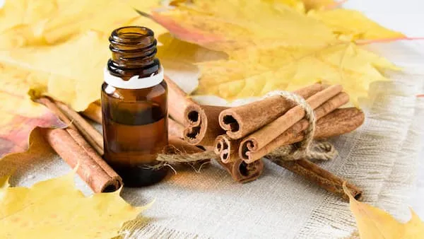 قیمت خرید اسانس دارچین طبیعی + مشخصات، عمده ارزان