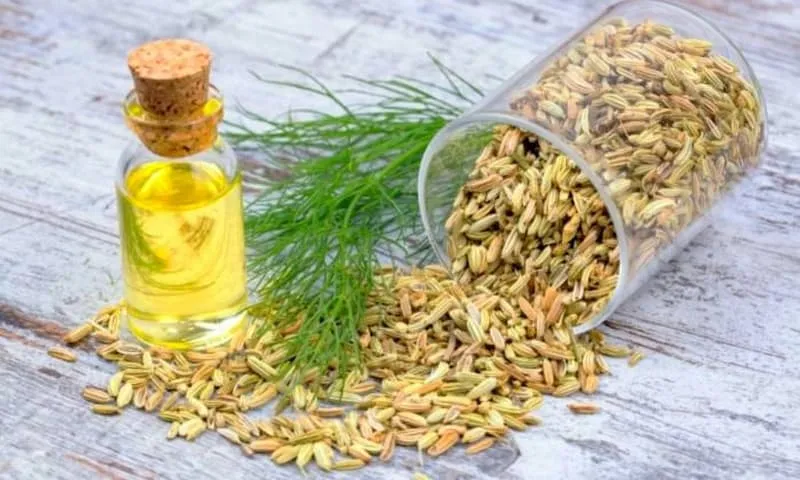 قیمت اسانس رازیانه خوراکی + پخش تولیدی عمده کارخانه