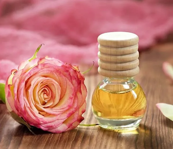 معرفی اسانس گل محمدی + بهترین قیمت خرید