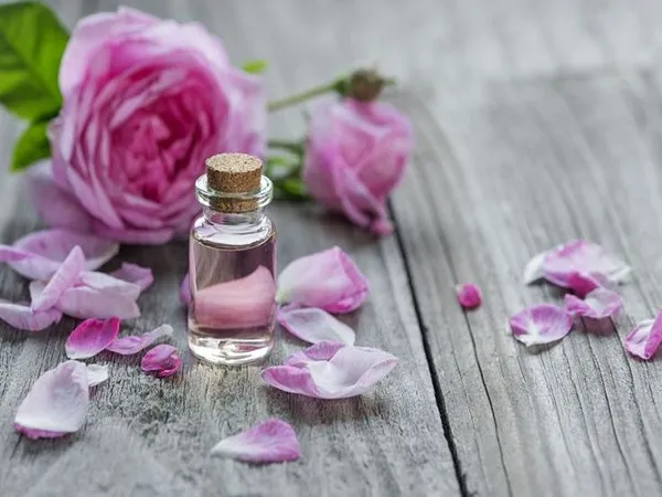 قیمت خرید اسانس گل محمدی + راهنمای استفاده