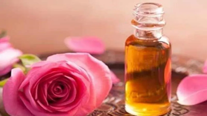 معرفی اسانس گل نسترن برای کم خونی + بهترین قیمت خرید