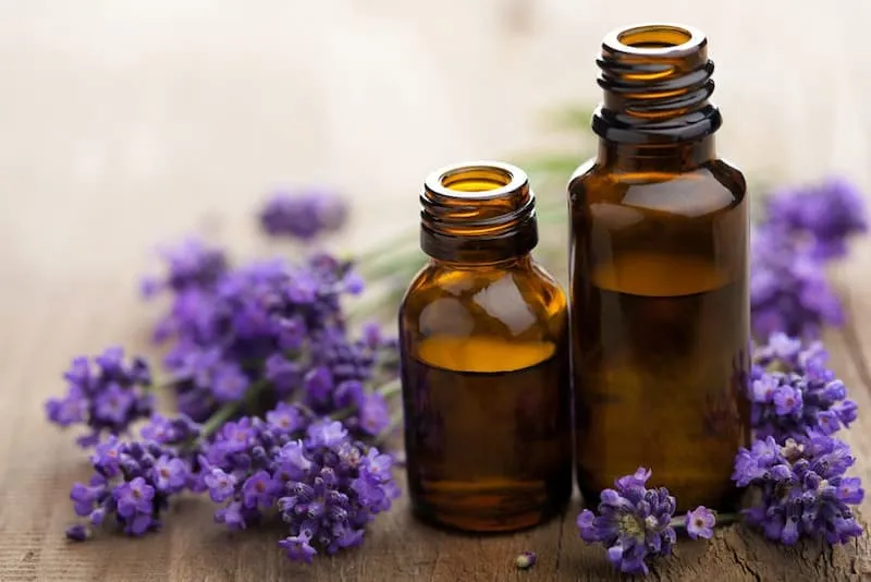 قیمت اسانس اسطوخودوس خوراکی + مشخصات بسته بندی عمده و ارزان