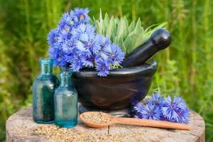 قیمت خرید پاکسازی ریه با زوفا + راهنمای استفاده