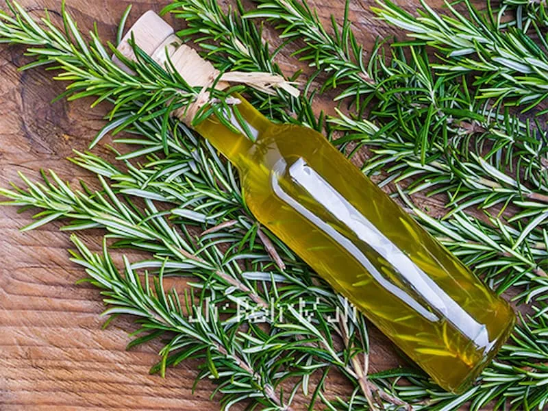 راهنمای خرید اسانس خوراکی رزماری + قیمت عالی