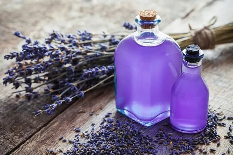 قیمت اسانس اسطوخودوس خوراکی + مشخصات بسته بندی عمده و ارزان