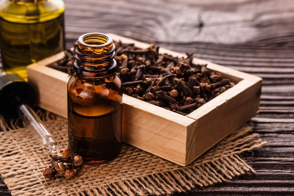 اسانس میخک ضد باکتری + خرید