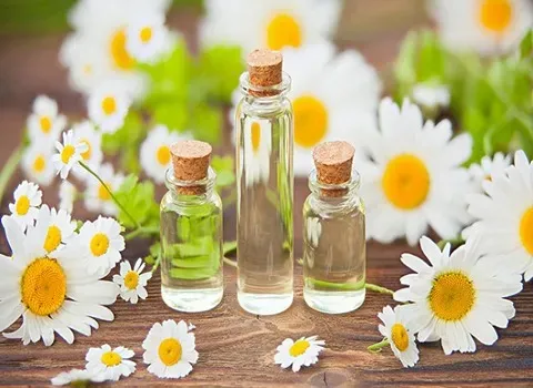 خرید و قیمت بابونه رومی برای اگزما