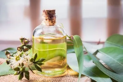 قیمت خرید بهبود تنفس با اکالیپتوس + راهنمای استفاده