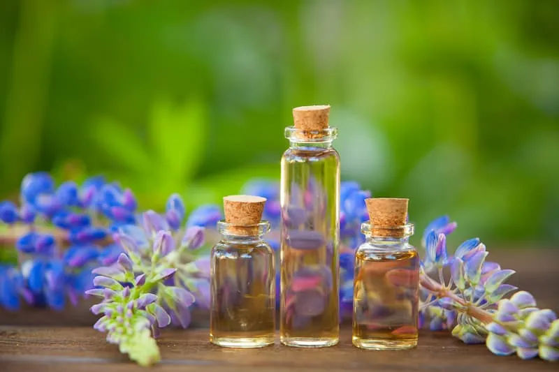 پاکسازی کبد با شاه تره + خرید