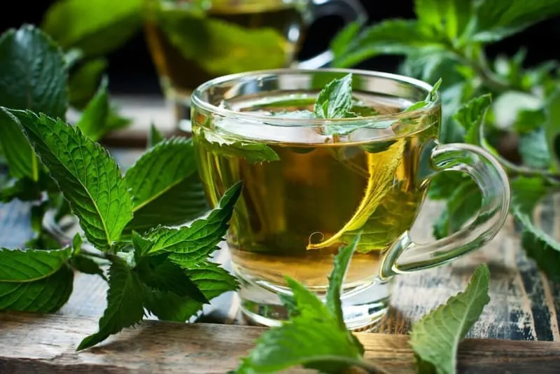 خرید و قیمت روز اسانس نعنا خوراکی