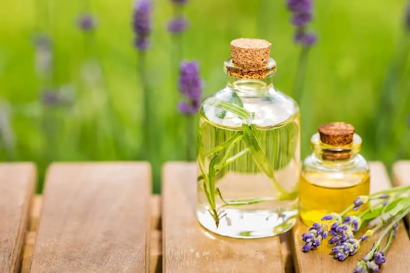پاکسازی کبد با شاه تره + خرید