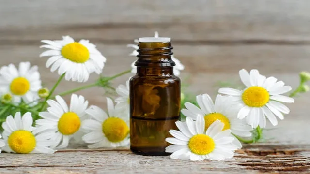 خرید و قیمت بابونه رومی برای اگزما