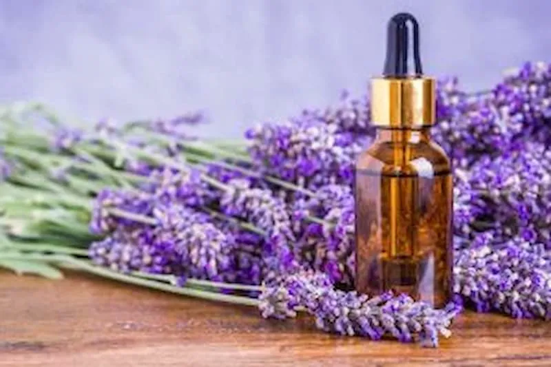 قیمت اسانس اسطوخودوس خوراکی + مشخصات بسته بندی عمده و ارزان