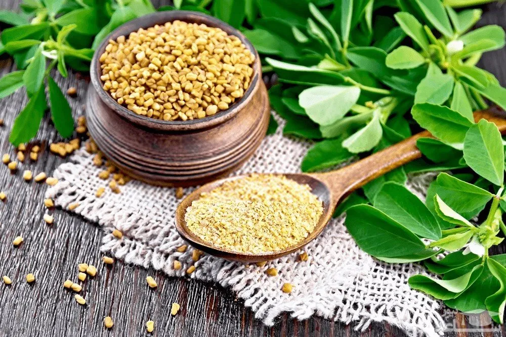 پاکسازی پوست با اسانس شنبلیله | قیمت عالی