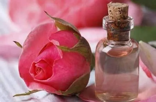 معرفی اسانس گل محمدی + بهترین قیمت خرید