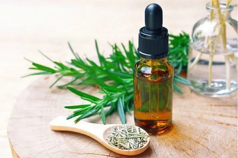 راهنمای خرید اسانس خوراکی رزماری + قیمت عالی