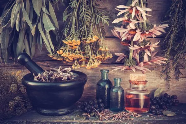 قیمت خرید پاکسازی ریه با زوفا + راهنمای استفاده