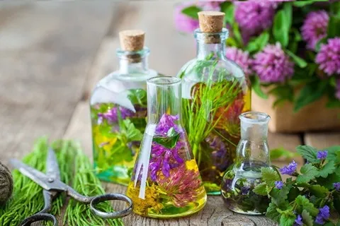 پاکسازی کبد با شاه تره + خرید