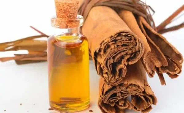 قیمت خرید اسانس دارچین طبیعی + مشخصات، عمده ارزان