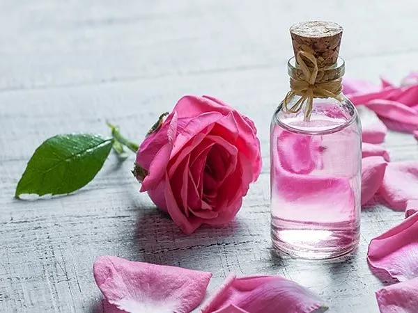 قیمت خرید اسانس گل محمدی + راهنمای استفاده