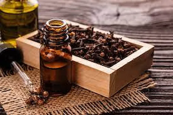 خرید اسانس میخک طبیعی + قیمت عالی با کیفیت تضمینی