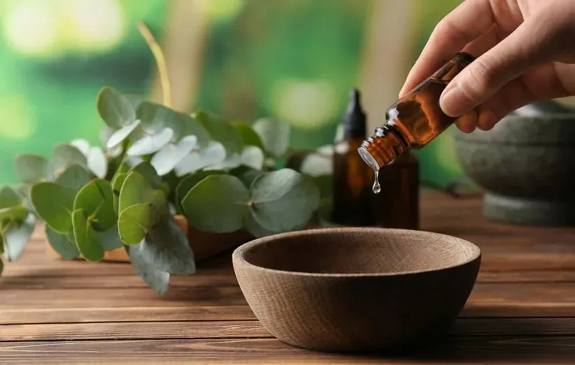 خرید جدیدترین انواع اسانس اکالیپتوس از معتبرترین برندهای دنیا