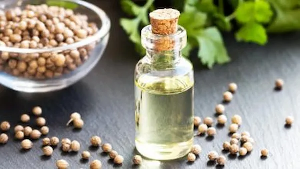 خرید اسانس گشنیز طبیعی + قیمت عالی با کیفیت تضمینی