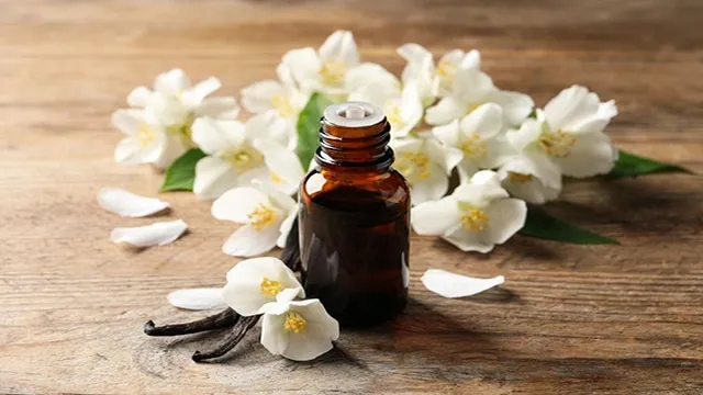 خرید اسانس وانیل سنتزی مایع با قیمت استثنایی