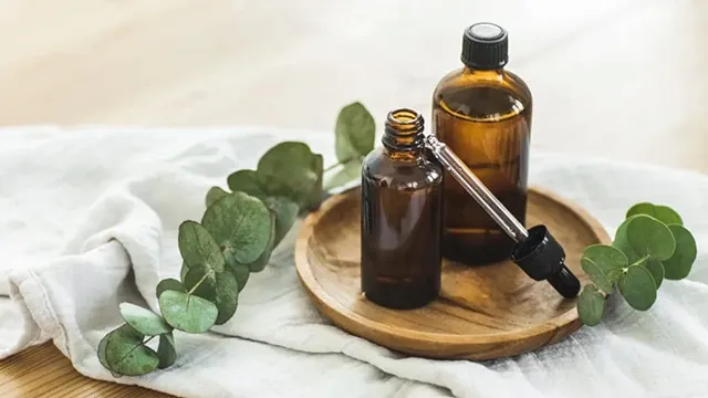 خرید جدیدترین انواع اسانس اکالیپتوس از معتبرترین برندهای دنیا