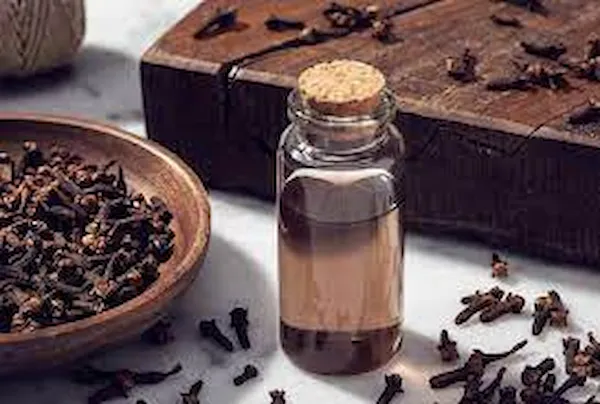 خرید اسانس میخک طبیعی + قیمت عالی با کیفیت تضمینی
